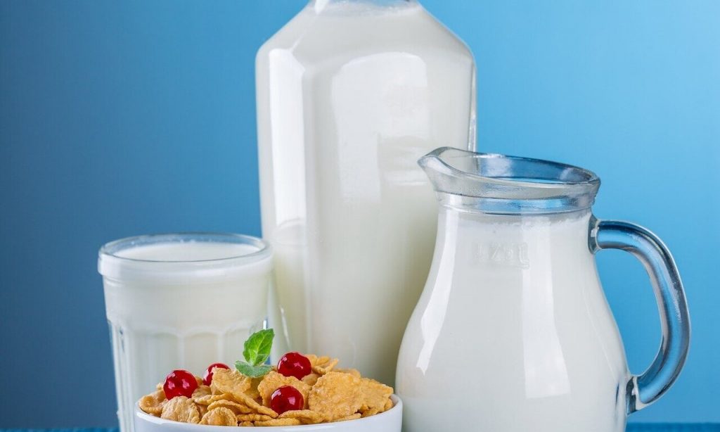 Dairy Matrix Unveiled How Structure Fuels Nutrition