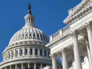 Dairy Wins Big Senate Budget Bill Boosts Farmers