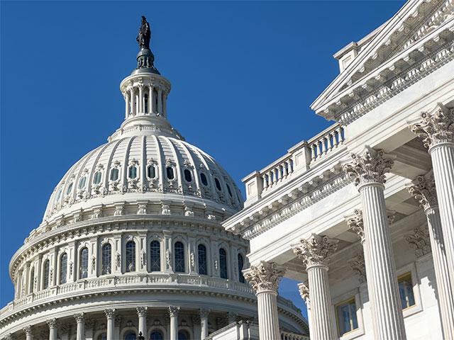 Dairy Wins Big Senate Budget Bill Boosts Farmers