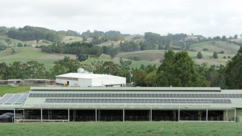 Dairy's Green Leap On Track to Carbon Neutrality
