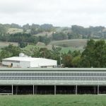 Dairy's Green Leap On Track to Carbon Neutrality