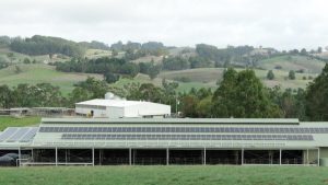 Dairy's Green Leap On Track to Carbon Neutrality