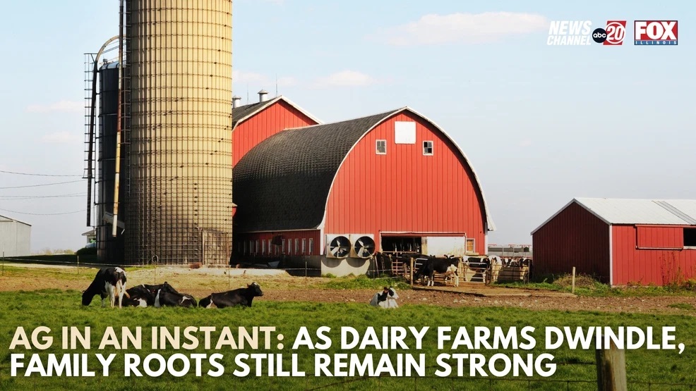 Family-Owned Farms Vanish, Yet Dairy Production Holds