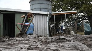 Flood Crisis $75K Relief for Aussie Dairy Farmers