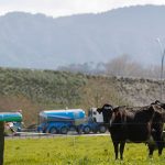 Fonterra's Winter Blitz 23,000 Tasks Secure Dairy Future