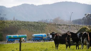 Fonterra's Winter Blitz 23,000 Tasks Secure Dairy Future