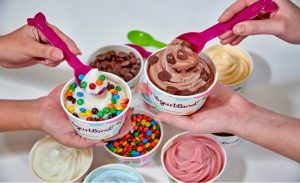 Frozen Yogurt Frenzy Yogurtland Targets 15 New Stores