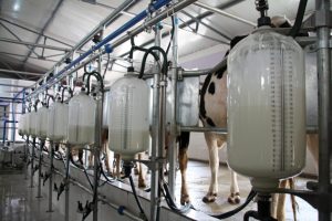 Global Milk Flows Up US & Europe Drive May Surge