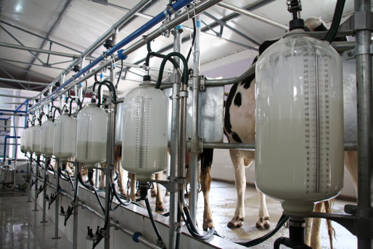 Global Milk Flows Up US & Europe Drive May Surge