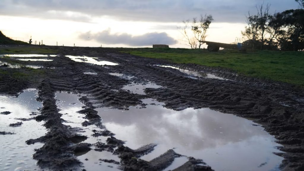 Green Drought Crisis Grips South Australian Farms