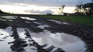 Green Drought Crisis Grips South Australian Farms