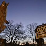 Greenpeace Charity Status Under Fire After Vandalism