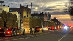 Hay Lifeline $500K Relief for Drought-Stricken Dairy Farmers