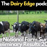 Irish Dairy Incomes Soar 113% in 2024 A Golden Year for Farmers