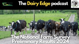 Irish Dairy Incomes Soar 113% in 2024 A Golden Year for Farmers