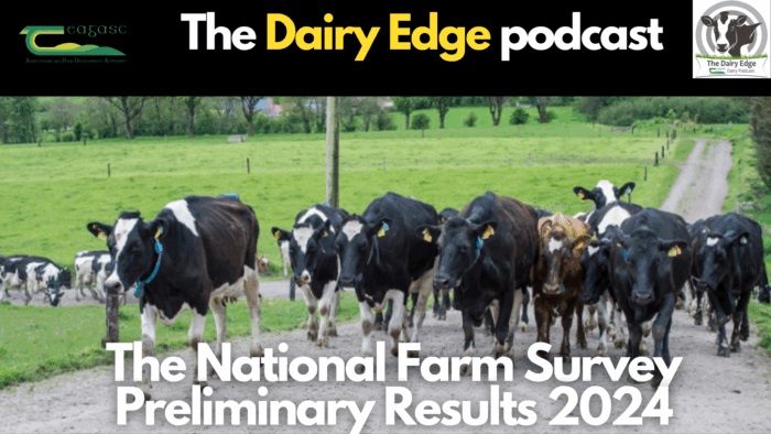 Irish Dairy Incomes Soar 113% in 2024 A Golden Year for Farmers