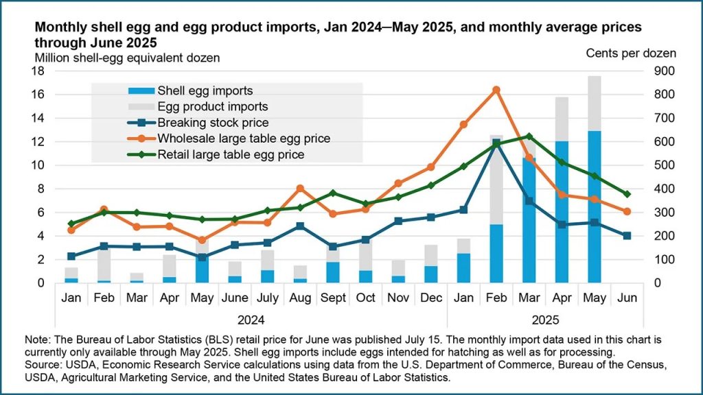 July Livestock & Dairy Forecasts What's Next for Markets
