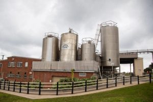 King Island Dairy Reborn Australian Owners Fuel Global Expansion