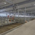 MSU's Mega-Dairy Nears Launch Future of Milk Revealed