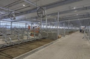 MSU's Mega-Dairy Nears Launch Future of Milk Revealed
