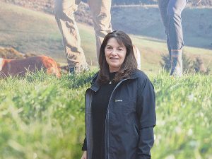 NZ Dairy Farmers Slash Debt, Fueling Future Growth