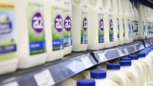 Plant Milk Hype Data Reveals Dairy Dominance