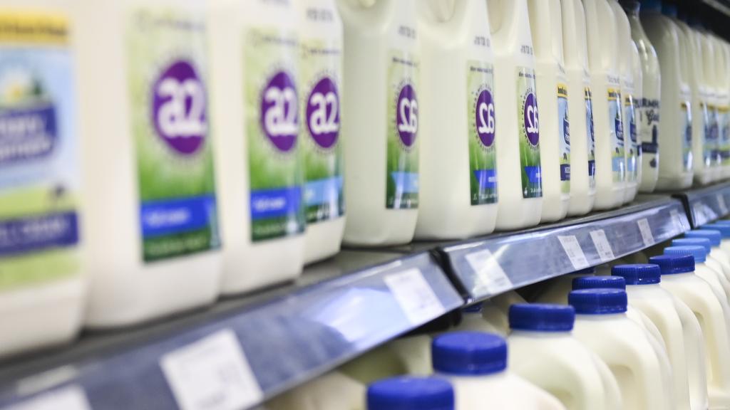 Plant Milk Hype Data Reveals Dairy Dominance
