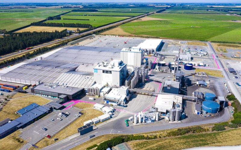 Synlait's Turnaround Losses Shrink, EBITDA Soars