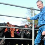 Tasmanian Dairy Alarm Merger Sparks Farmer Fears