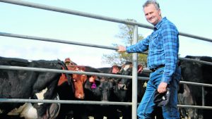 Tasmanian Dairy Alarm Merger Sparks Farmer Fears