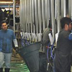 Trump Proposes Farmworker Permits Amid US Dairy Labor Crisis
