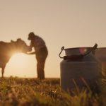 US Dairy's April Triumph Cheese & Butter Hit Records