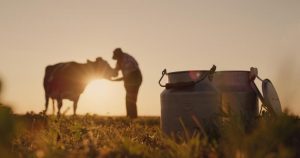 US Dairy's April Triumph Cheese & Butter Hit Records
