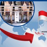 US Dairy's New Horizon Indonesia Trade Breakthrough