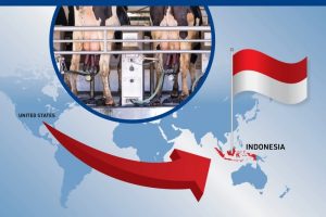 US Dairy's New Horizon Indonesia Trade Breakthrough