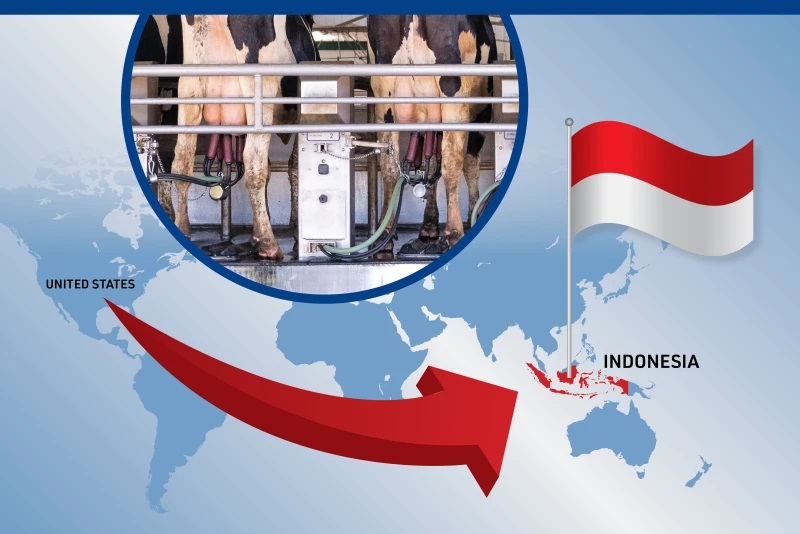 US Dairy's New Horizon Indonesia Trade Breakthrough