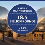 US Milk Output Explodes in June What's Driving the Surge