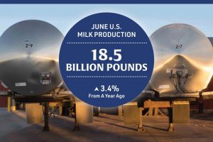 US Milk Output Explodes in June What's Driving the Surge