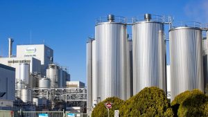 Victorian Dairy Price War Small Processors Lead the Charge