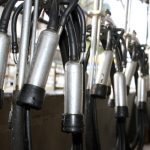 Visa Crunch Ahead NZ Dairy Faces Worker Exodus