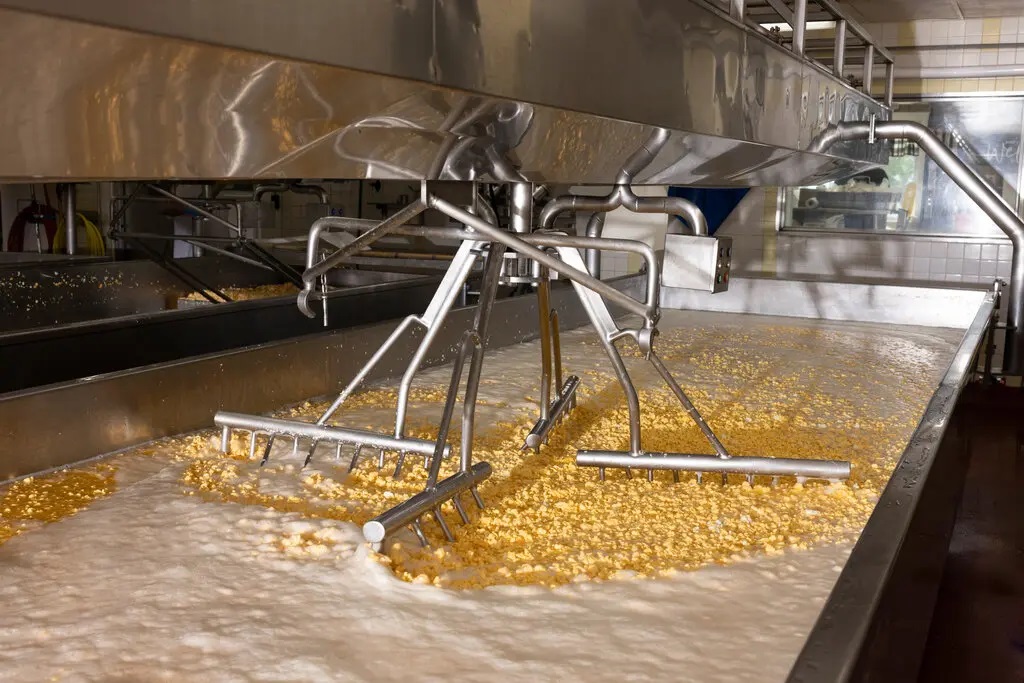 Whey Gold Rush Protein Craze Reshaping Dairy Economics