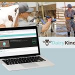 A Digital Leap for Dairy Farms