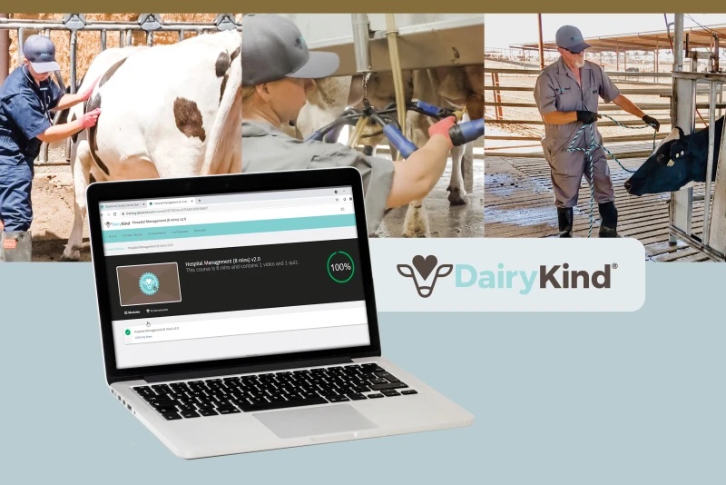 A Digital Leap for Dairy Farms