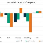 Australian Exports Down in June