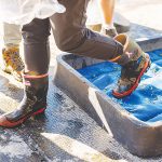 Biosecurity New Zealand’s Dairy Future
