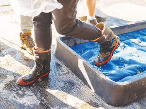 Biosecurity New Zealand’s Dairy Future
