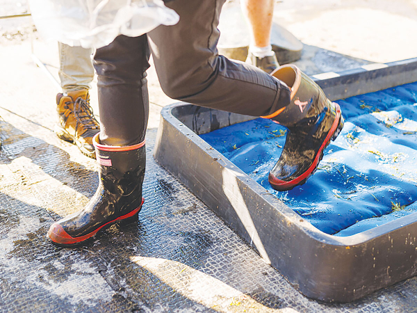 Biosecurity New Zealand’s Dairy Future