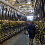 California Dairy Legacy, Commitment and Uncertain Futures