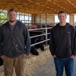 Dairy-Beef Crosses The New Cash Cow for Farmers