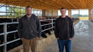 Dairy-Beef Crosses The New Cash Cow for Farmers